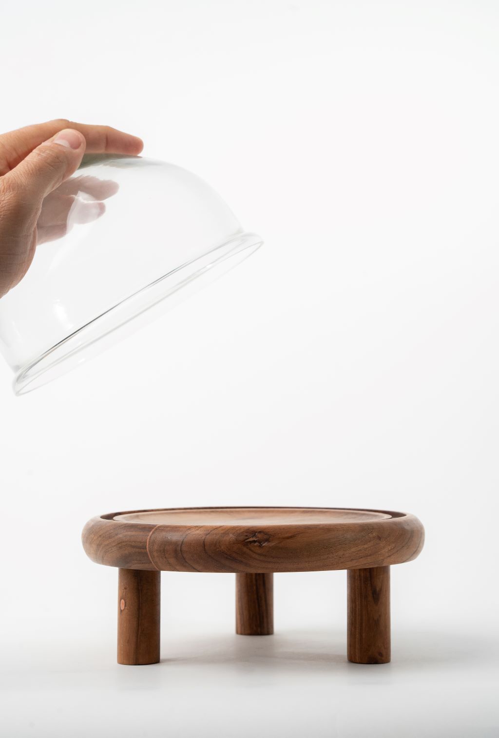 Cake stands with glass cover